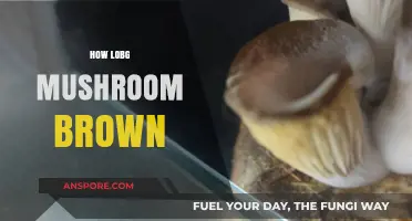 The Secret to Perfectly Browning Mushrooms
