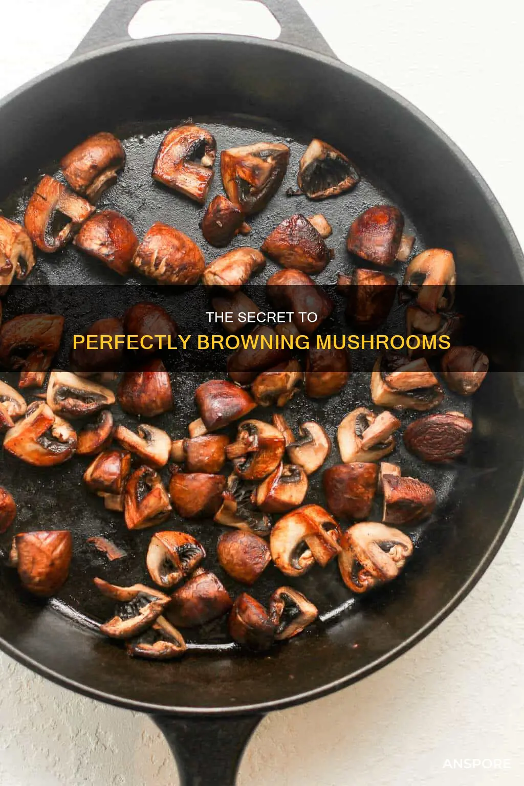 how lobg mushroom brown