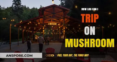 Exploring the Duration of a Mushroom Trip: What to Expect