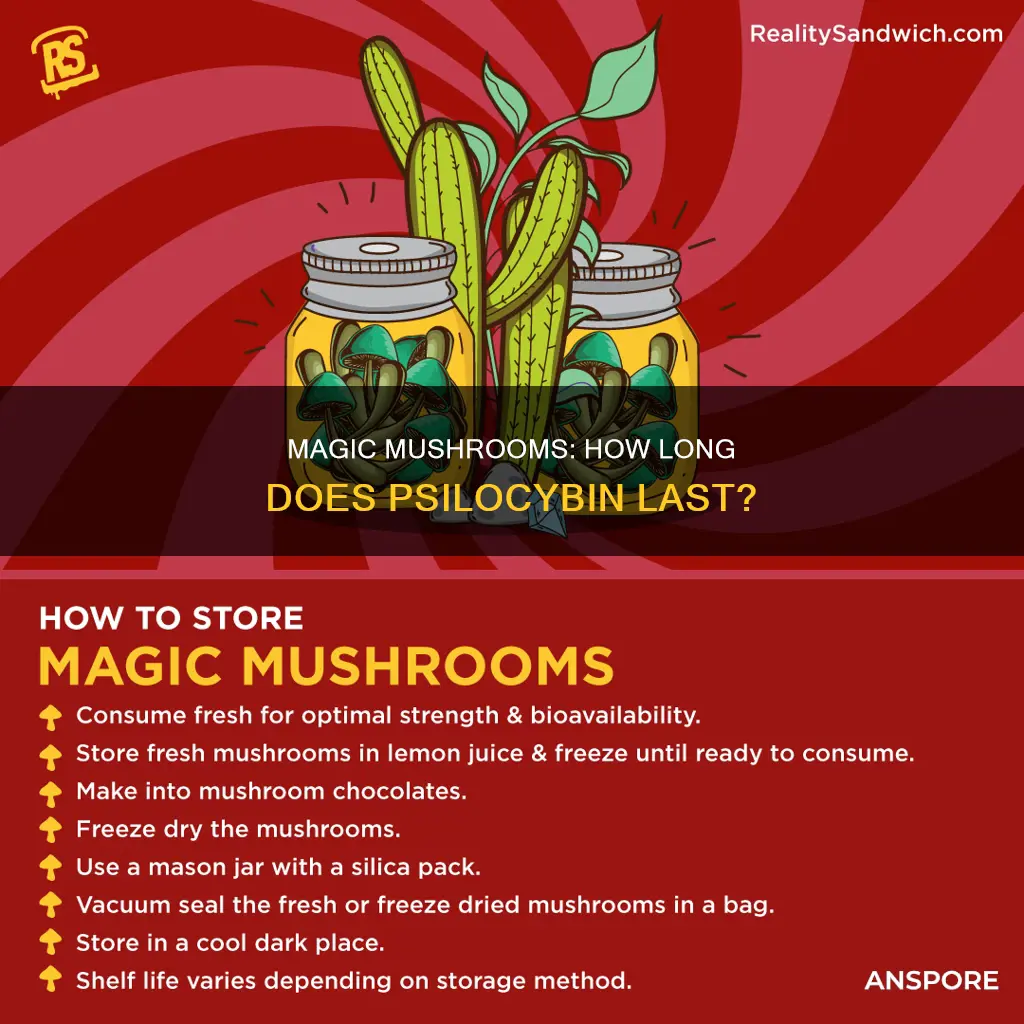 how log do cilosilbin mushrooms last