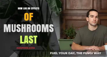 Magic Mushrooms: How Long Do the Effects Last?