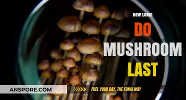 The Ultimate Guide to Mushroom Shelf Life