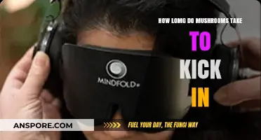 Understanding Mushroom Trips: How Long Before the Effects Start?