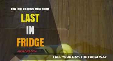 Brown Mushrooms: How Long Do They Last in Fridge?
