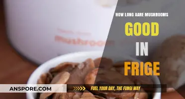 How Long Do Mushrooms Stay Fresh in the Fridge?