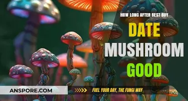 How Long Are Mushrooms Good After Best Buy Date?