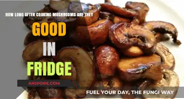 How Long Do Cooked Mushrooms Stay Fresh in the Fridge?