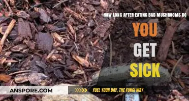 Bad Mushroom Symptoms: How Soon After Eating Do You Feel Sick?