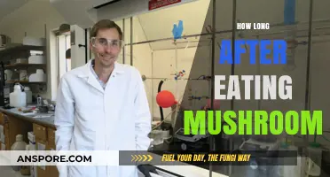 How Long After Eating Mushrooms Should You Expect Effects?