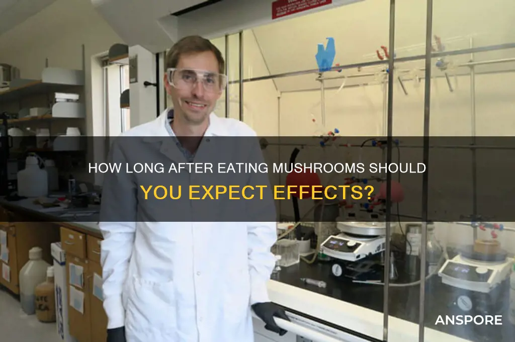 how long after eating mushrooms