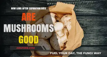 Expired Mushrooms: How Long Are They Safe to Eat After the Date?