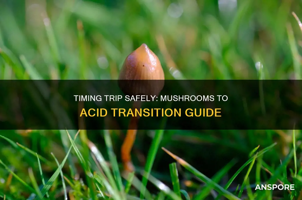 how long after mushrooms should you wait before taking acid