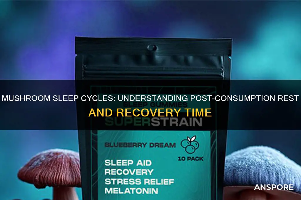 how long after mushrooms sleep
