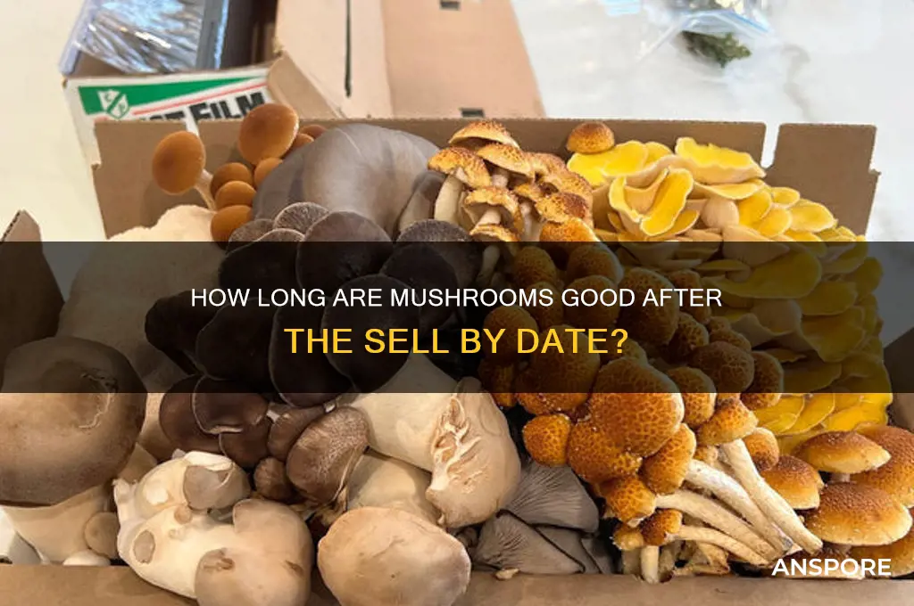 how long after sell by date are mushrooms good