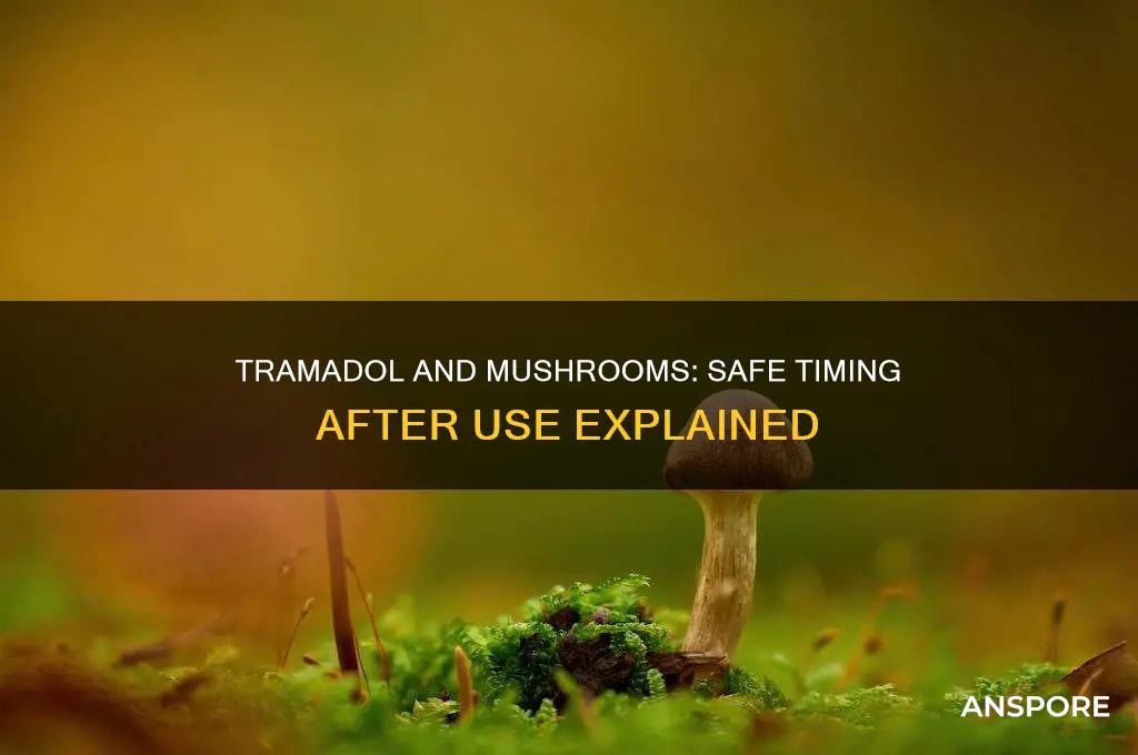 how long after tramadol mushrooms