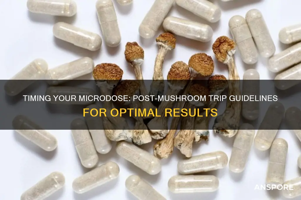 how long after tripping on mushrooms to microdose