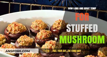 Perfect Stuffed Mushrooms: Ideal Baking Time and Temperature Guide
