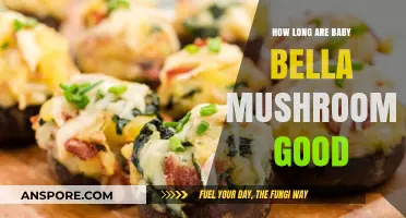 Baby Bella Mushrooms Shelf Life: Freshness and Storage Tips