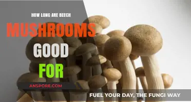 How Long Do Beech Mushrooms Stay Fresh and Edible?