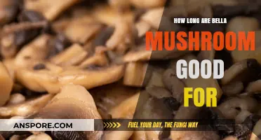Bella Mushrooms Shelf Life: How Long Do They Stay Fresh?