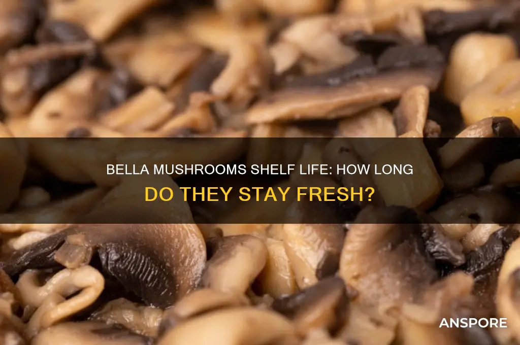 how long are bella mushrooms good for