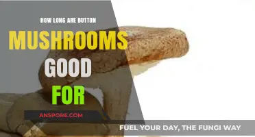 Button Mushrooms Shelf Life: How Long Do They Stay Fresh?