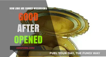 Opened Canned Mushrooms: Shelf Life and Storage Tips Explained