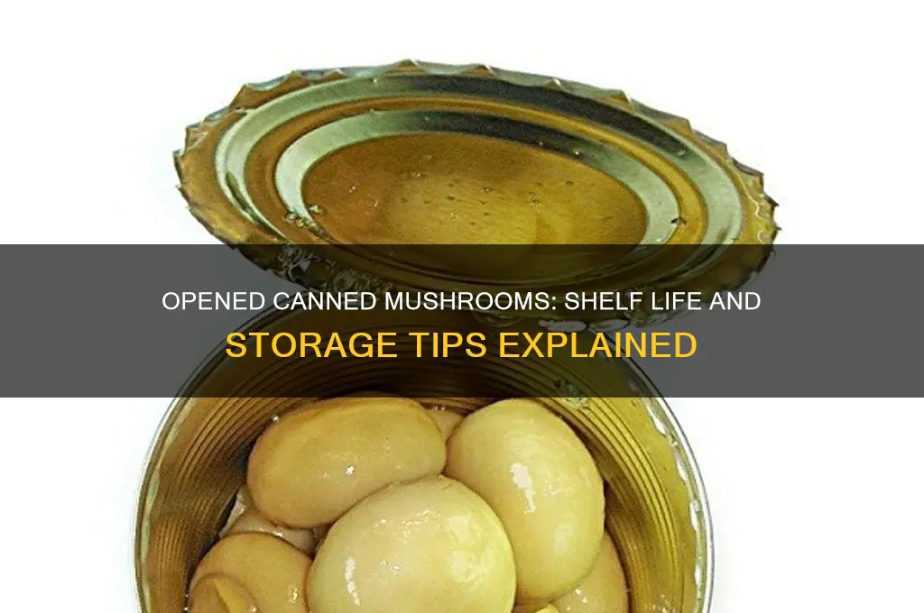 how long are canned mushrooms good after opened