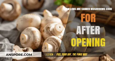 Canned Mushrooms Shelf Life: How Long Are They Good After Opening?
