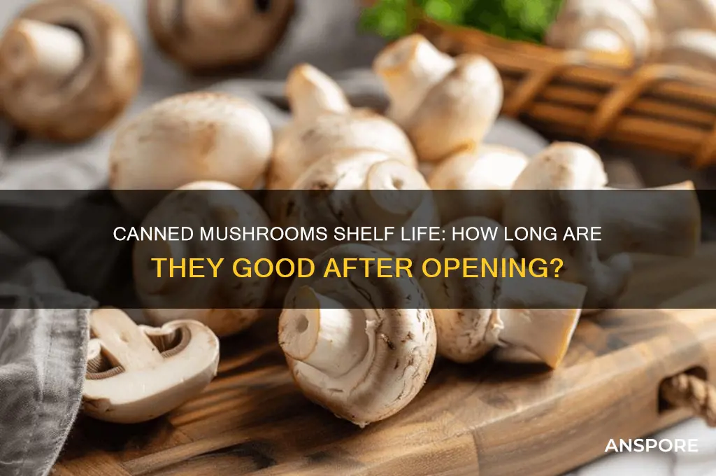 how long are canned mushrooms good for after opening