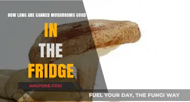 Canned Mushrooms Shelf Life: How Long Do They Last in Fridge?