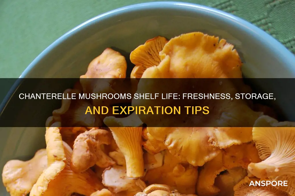 how long are chanterelle mushrooms good for