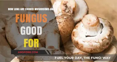 Cooked Mushrooms and Fungus: Shelf Life and Storage Tips