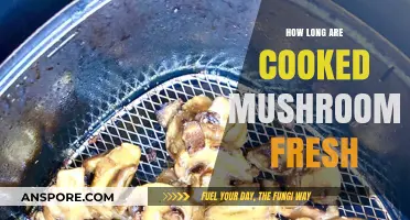 Maximizing Freshness: How Long Do Cooked Mushrooms Stay Fresh?