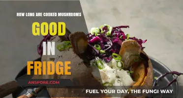 Cooked Mushrooms Storage: How Long Do They Last in the Fridge?