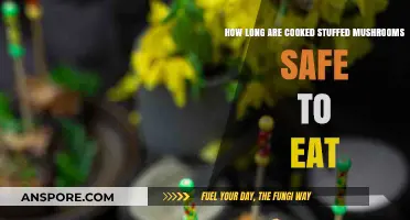 Safe Storage Tips for Cooked Stuffed Mushrooms: How Long Do They Last?