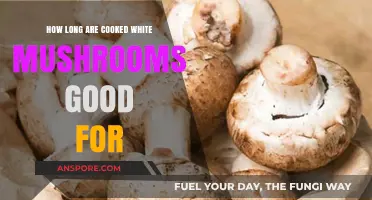 Cooked White Mushrooms: Shelf Life and Storage Tips Explained