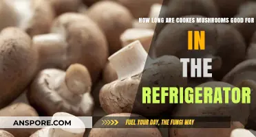 Refrigerated Cooked Mushrooms: Shelf Life and Freshness Tips