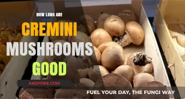 How Long Are Cremini Mushrooms Good: Storage Tips & Shelf Life