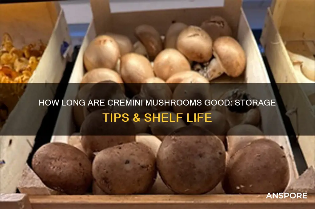 how long are cremini mushrooms good