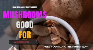 Shelf Life of Dehydrated Mushrooms: How Long Do They Last?