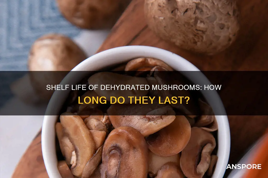 how long are dehydrated mushrooms good for