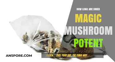 Dried Magic Mushrooms Potency: How Long Does It Last?