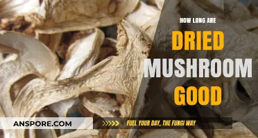Shelf Life of Dried Mushrooms: How Long Do They Last?