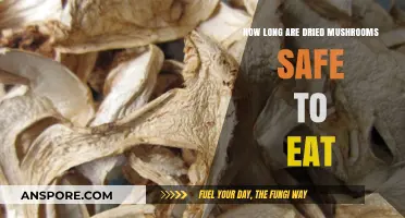 Shelf Life of Dried Mushrooms: Safety and Storage Tips
