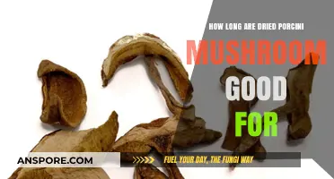 Shelf Life of Dried Porcini Mushrooms: Storage Tips and Freshness Guide