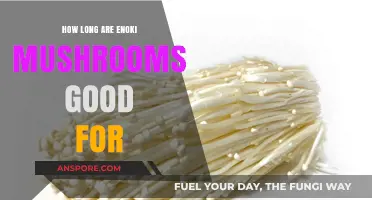 Enoki Mushrooms Shelf Life: How Long Do They Stay Fresh?