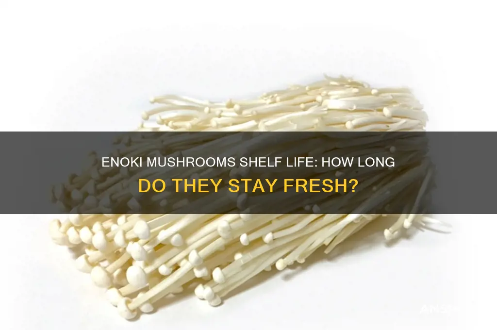 how long are enoki mushrooms good for