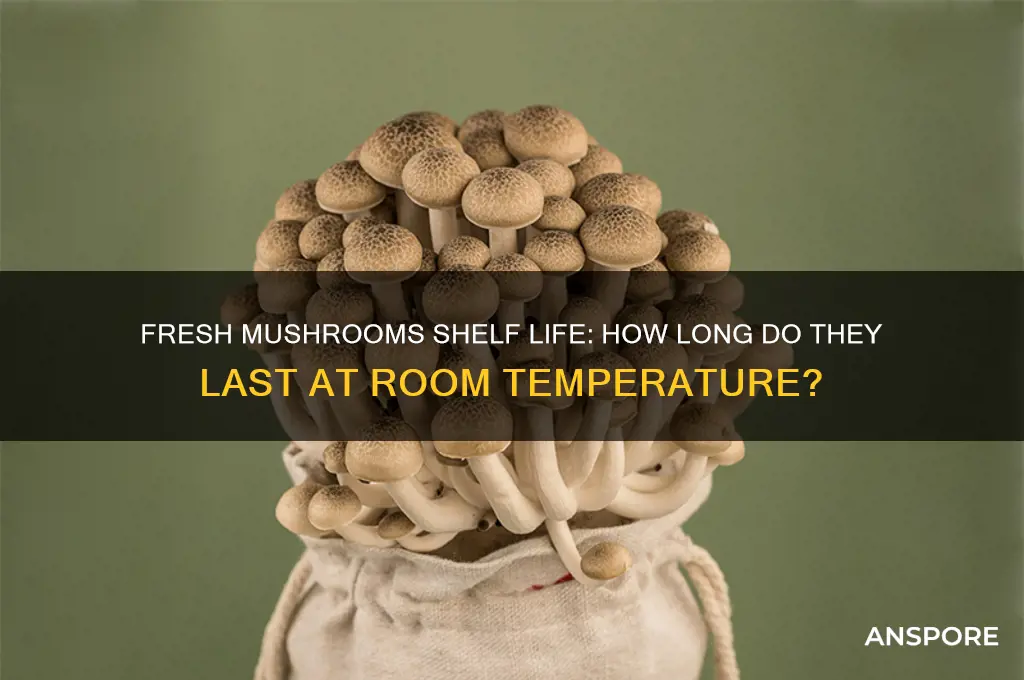 how long are fresh mushrooms good for at room temperature