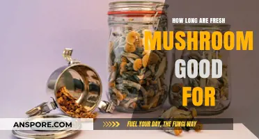 Fresh Mushrooms Shelf Life: How Long Do They Stay Good?